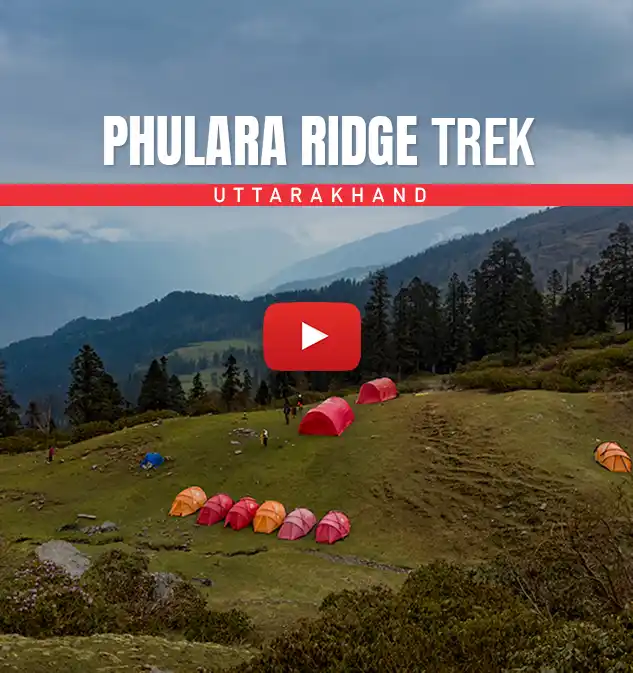 Phulara Ridge Trek Informative Video